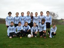 tim dan 12